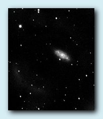 NGC 2976.jpg